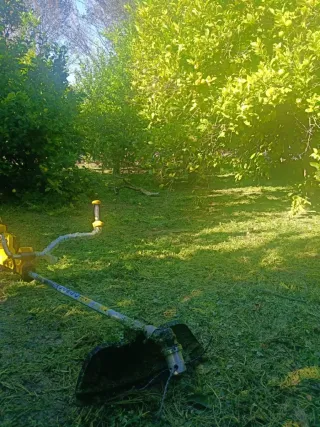 Limpieza de parcelas