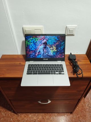 Portátil Asus Chromebook C423N