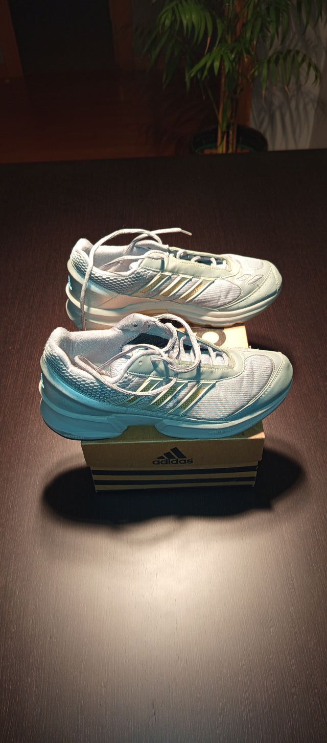 Zapatillas Adidas Iridum Gris y Doradas