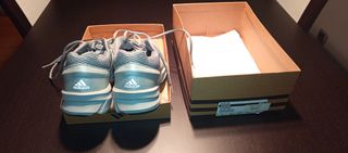 Zapatillas Adidas Iridum Gris y Doradas