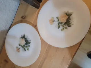 10 Platos Arcopal Rosas vintage