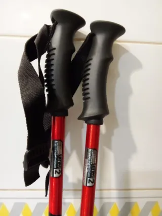 Bastones de esquí SCOTT