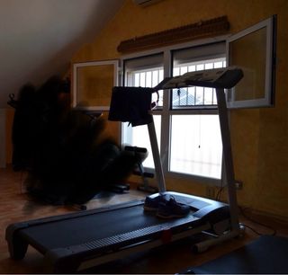 Cinta de correr y elíptica Modelo Tc290