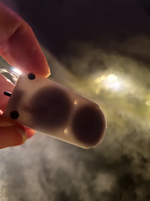 Filo luci fatate 10 LED