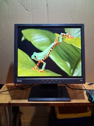 Monitor 19" BENQ Q9T3