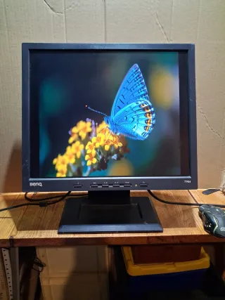 Monitor 19" BENQ Q9T3