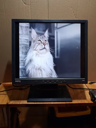 Monitor 19" BENQ Q9T3