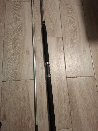 Caña JIGGING BOAT 270 SALTWATER