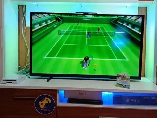 Nintendo Wii Edición Familia