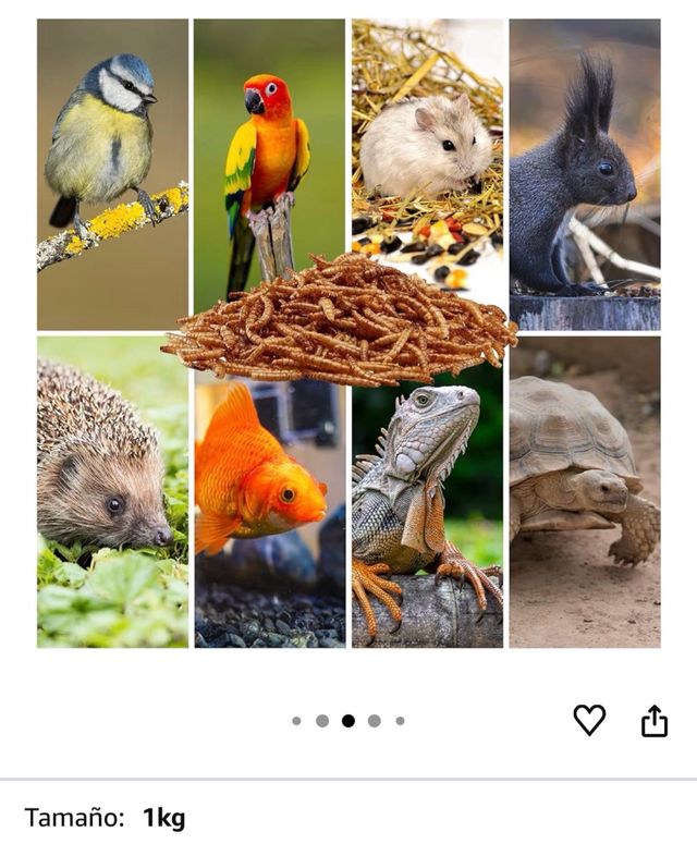 Vermi di farina secchi 1kg per animali