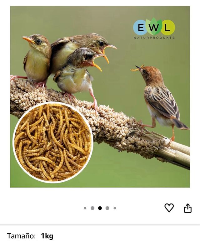 Vermi di farina secchi 1kg per animali