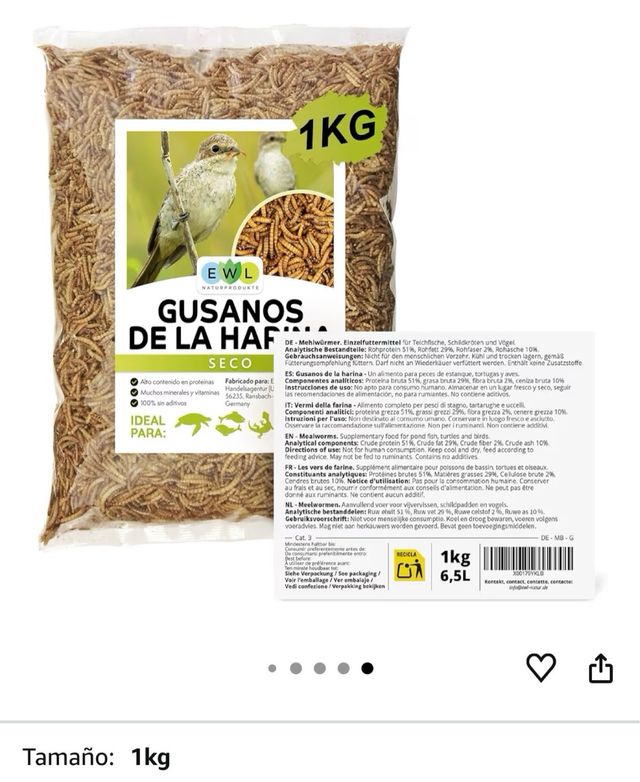 Vermi di farina secchi 1kg per animali