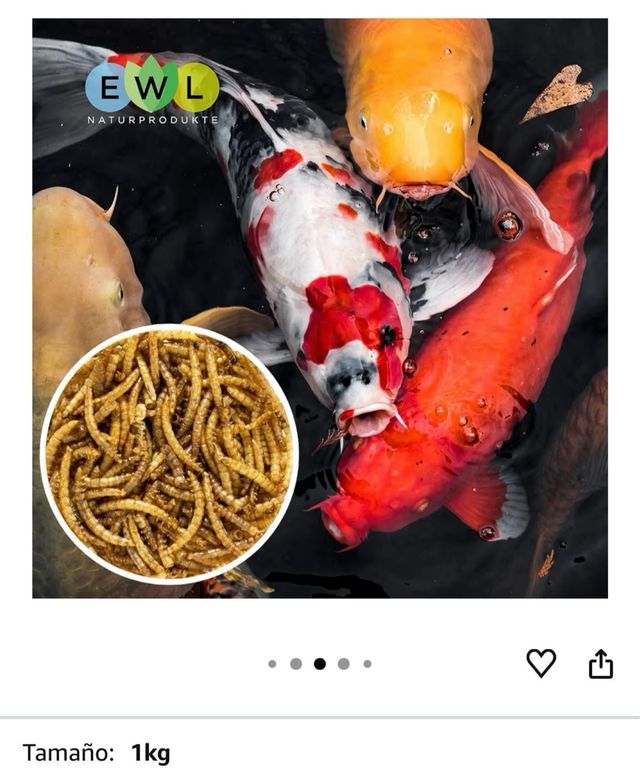 Vermi di farina secchi 1kg per animali