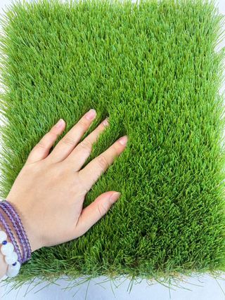 Rollo césped artificial 35 mm · 10 m² NUEVO