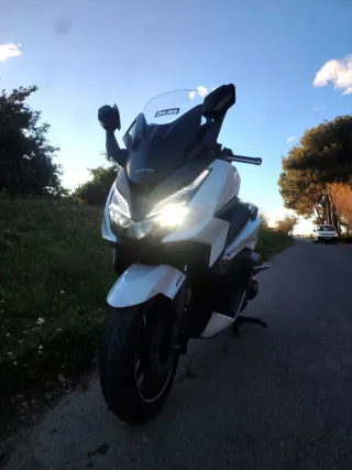 Honda Forza 125. 2022