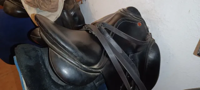 Montura de caballo negra