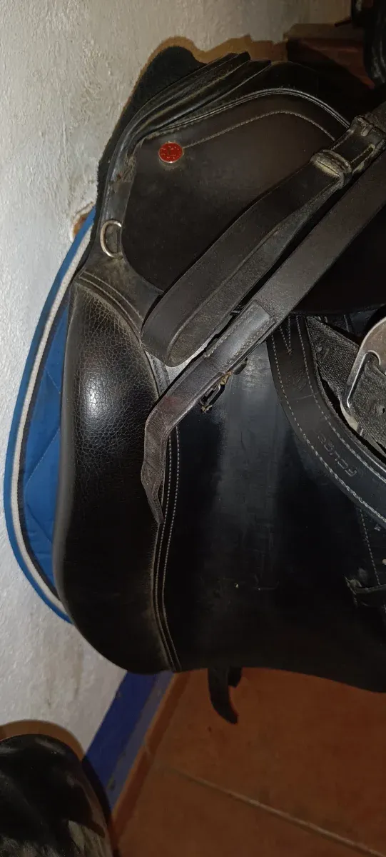 Montura de caballo negra