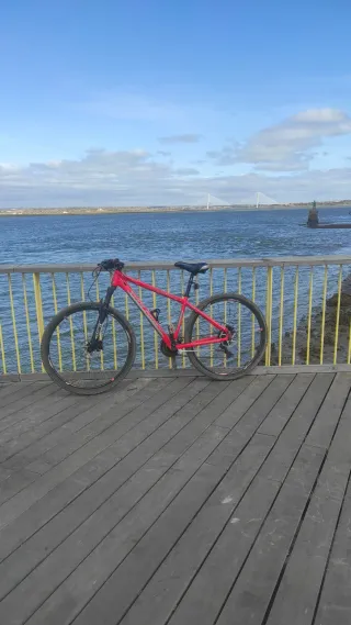 Bicicleta de montaña roja 29