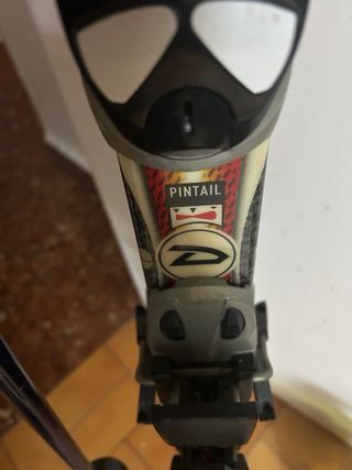 Esquís Dynastar con fijaciones Salomon