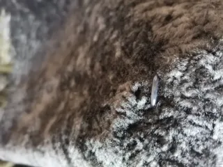 Abrigo piel Esfera Collection Pelo Negro/Verde