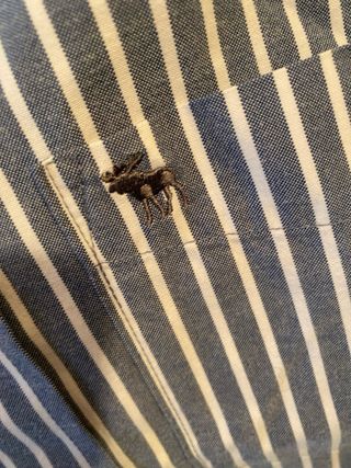 Camicia Abercrombie & Fitch a righe M