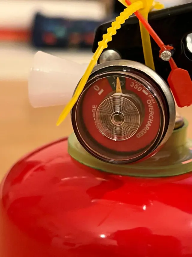 Extintor Polvo Holi 600g