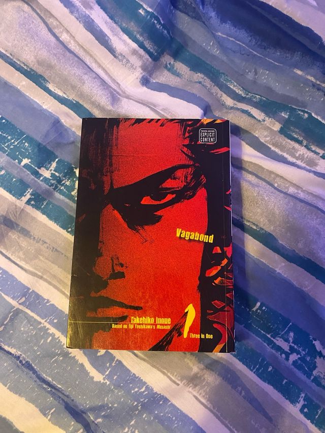 Vagabond, Vol. 1 (VIZBIG Edition)