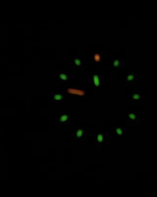 Reloj Luminox Luminiscente