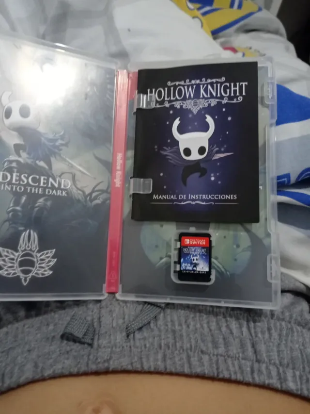 Hollow Knight Nintendo Switch