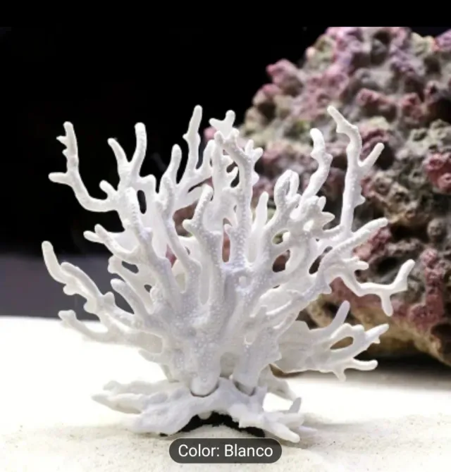 Adorno Coral Blanco Realista