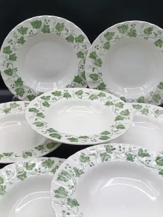 Set platos Churchill Colección Hiedra Verde