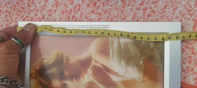 Lote de decoración,