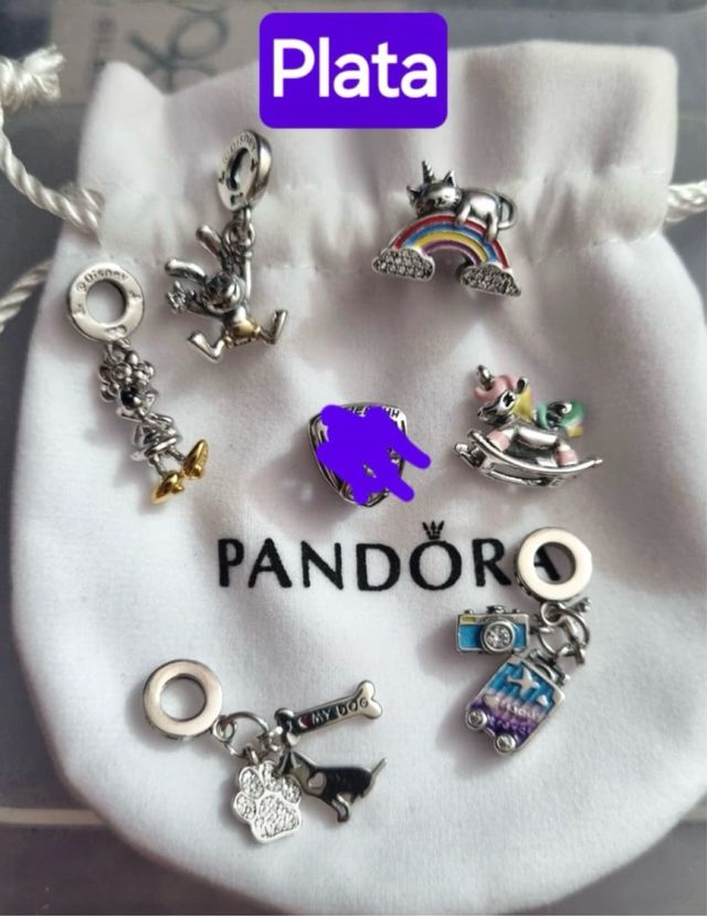 Chams Pandora Plata 20€
