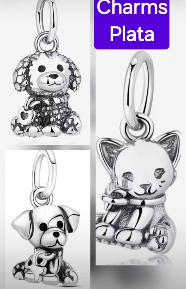 Chams Pandora Plata 20€