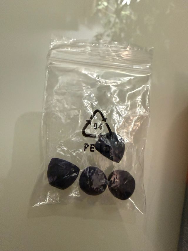 Auricolari Ladybird Jack 3.5mm