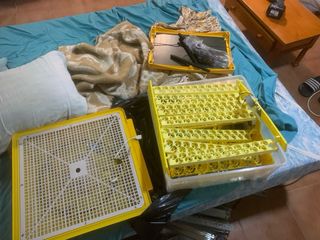 Incubadora Codornices y Gallina Inglesa Amarilla