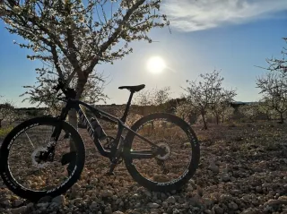 Ruedas MTB Carbono Reynolds TR 309/289 XC, 1.6 kil