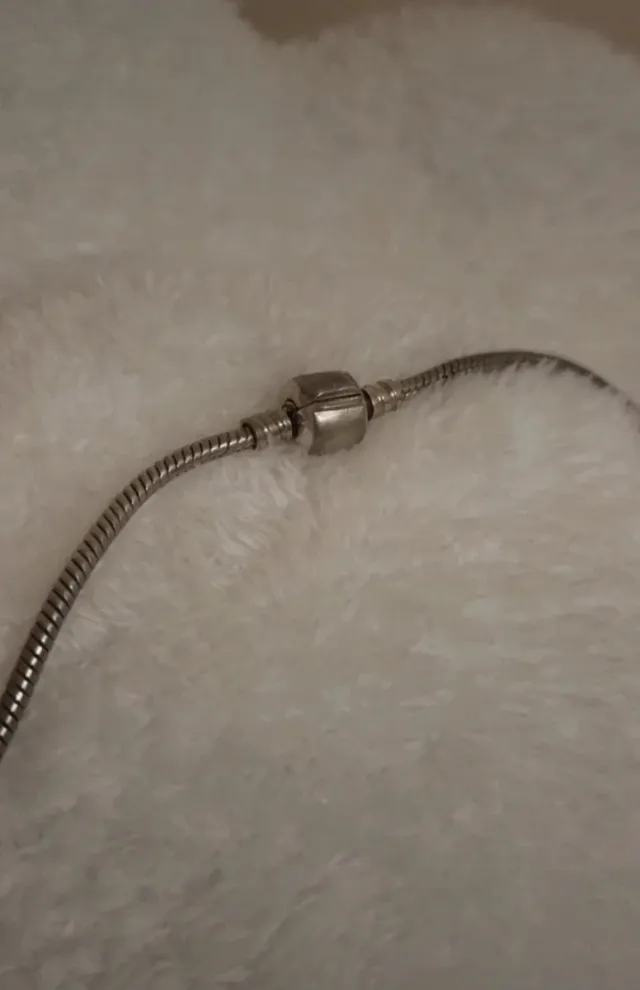 Cadena Plata Serpiente