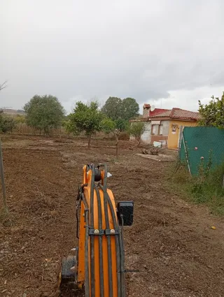 Servicios de mini excavadora