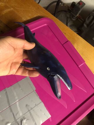 Balena blu in plastica