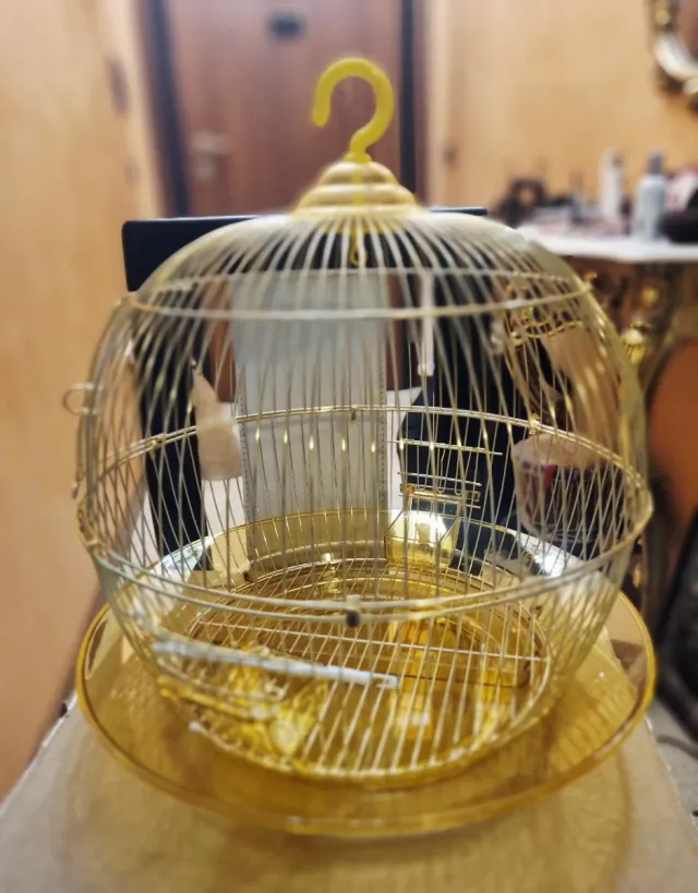 Gabbietta per uccellini dorata