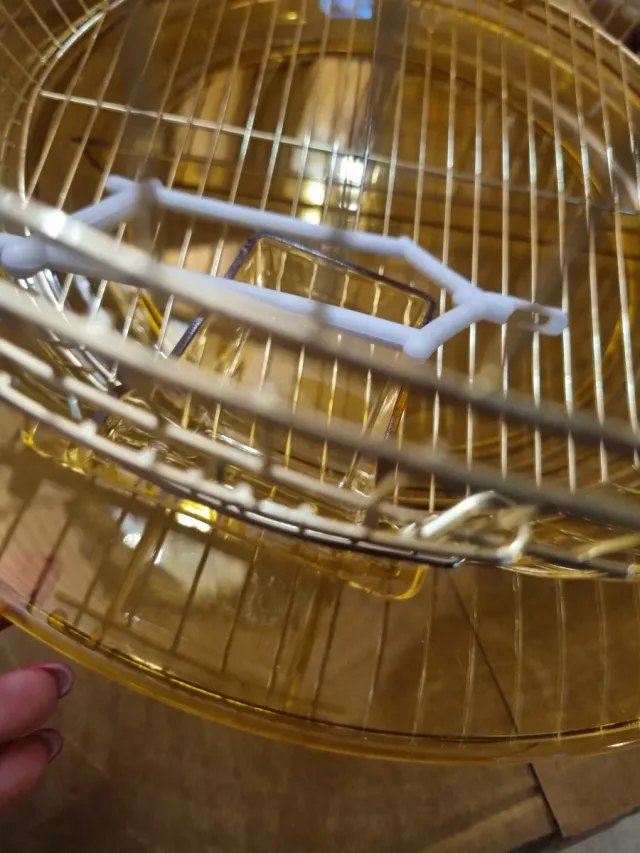 Gabbietta per uccellini dorata