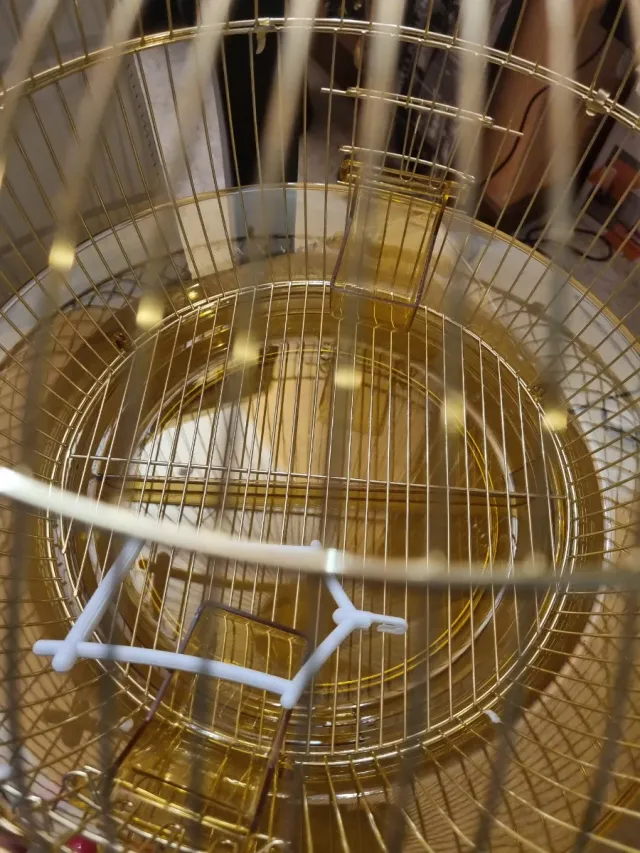 Gabbietta per uccellini dorata