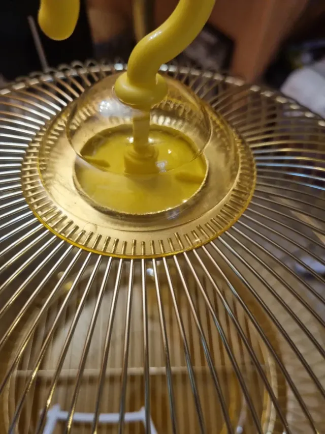 Gabbietta per uccellini dorata