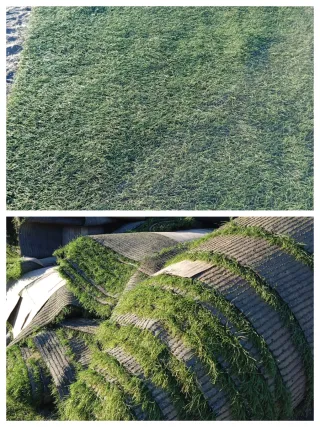 Venta de césped artificial