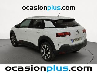 Citroen C4 Cactus BlueHDi 100 S&S Shine 73 kW (100 CV)