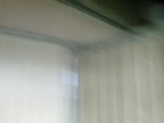 Portón metálico industrial medida 276 x 370