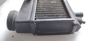 Radiador Sachs 50 Completo Com Tampa