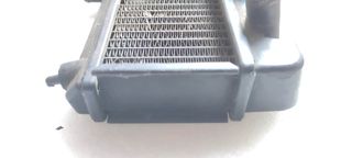 Radiador Sachs 50 Completo Com Tampa