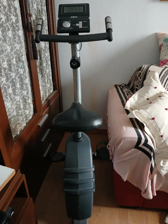 Bicicleta Estática BH Buen Estado